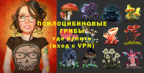 хмурый Лагань