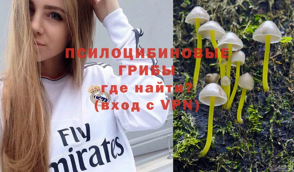 наркотики Ладушкин