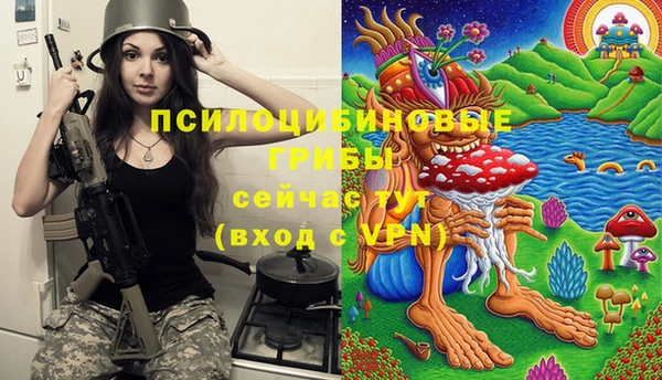 наркотики Ладушкин