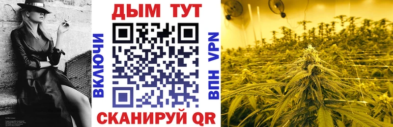 Купить где  Чудово  Канабис THC 21% 
